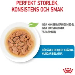 Royal Canin Mini Puppy Våtfoder för Hundvalp 1,02 kg