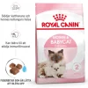 Royal Canin Mother & Babycat Torrfoder för Katt & Kattunge 2 kg