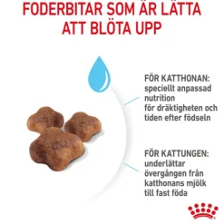 Royal Canin Mother & Babycat Torrfoder för Katt & Kattunge 2 kg