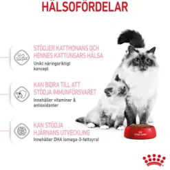 Royal Canin Mother & Babycat Torrfoder för Katt & Kattunge 2 kg