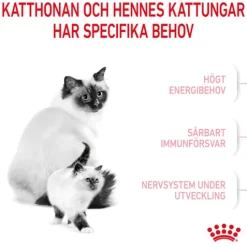 Royal Canin Mother & Babycat Torrfoder för Katt & Kattunge 2 kg