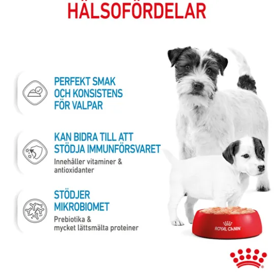 Royal Canin Mother & Babydog Starter Mousse Våtfoder för Hund & Hundvalp 2,34 kg
