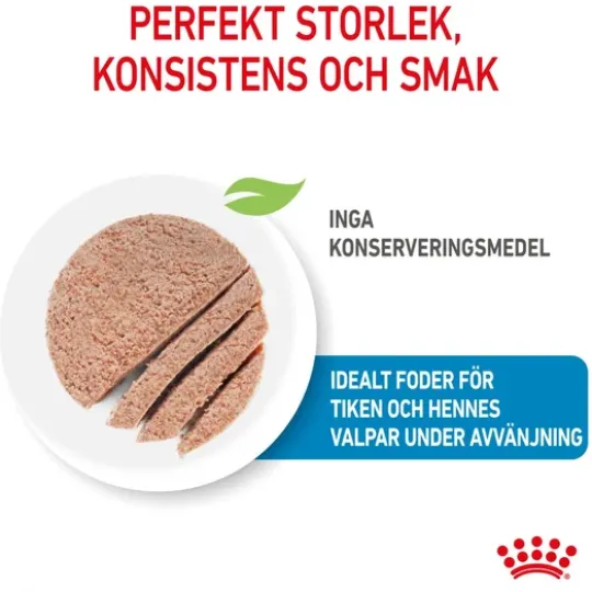 Royal Canin Mother & Babydog Starter Mousse Våtfoder för Hund & Hundvalp 2,34 kg