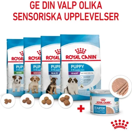 Royal Canin Mother & Babydog Starter Mousse Våtfoder för Hund & Hundvalp 2,34 kg