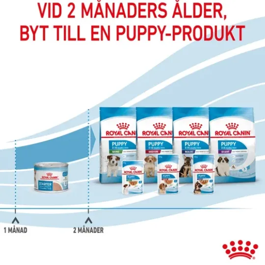 Royal Canin Mother & Babydog Starter Mousse Våtfoder för Hund & Hundvalp 2,34 kg