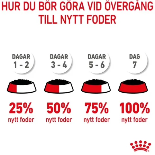 Royal Canin Mother & Babydog Starter Mousse Våtfoder för Hund & Hundvalp 2,34 kg