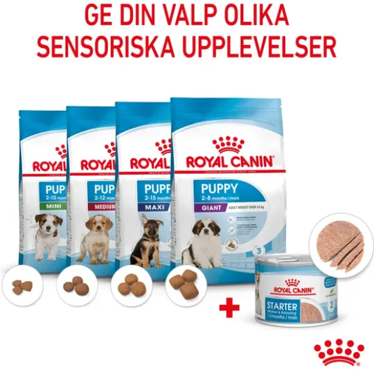 Royal Canin Mother & Babydog Starter Mousse Våtfoder för Hund & Hundvalp 2,34 kg