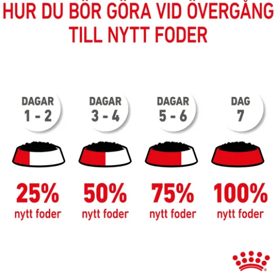 Royal Canin Mother & Babydog Starter Mousse Våtfoder för Hund & Hundvalp 2,34 kg