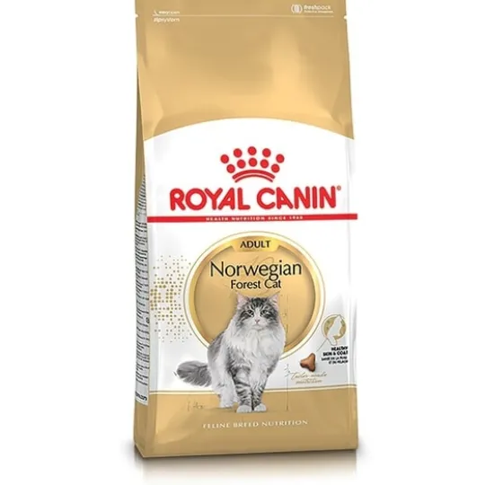 Royal Canin Norwegian Forest Cat Adult Torrfoder för Katt 2 kg