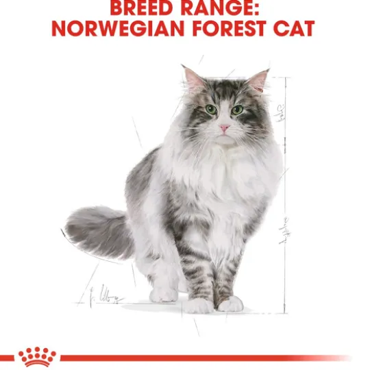 Royal Canin Norwegian Forest Cat Adult Torrfoder för Katt 2 kg