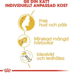 Royal Canin Norwegian Forest Cat Adult Torrfoder för Katt 2 kg