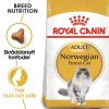 Royal Canin Norwegian Forest Cat Adult Torrfoder för Katt 10 kg