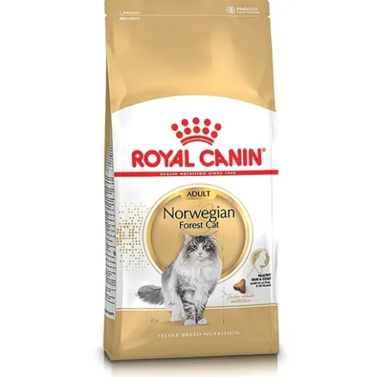Royal Canin Norwegian Forest Cat Adult Torrfoder för Katt 10 kg