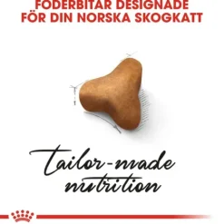 Royal Canin Norwegian Forest Cat Adult Torrfoder för Katt 10 kg