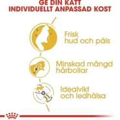 Royal Canin Norwegian Forest Cat Adult Torrfoder för Katt 10 kg