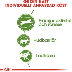 Royal Canin Outdoor Adult Torrfoder för Katt 4 kg