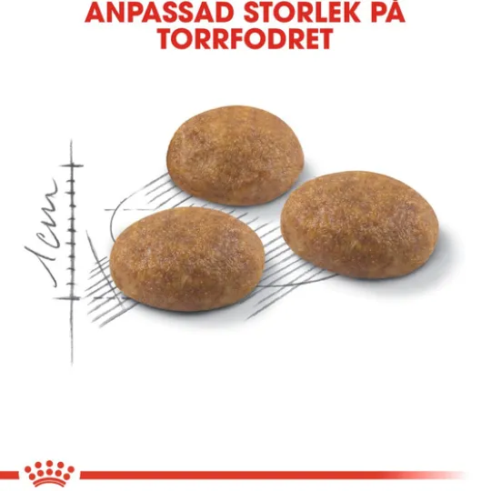 Royal Canin Outdoor Adult Torrfoder för Katt 4 kg