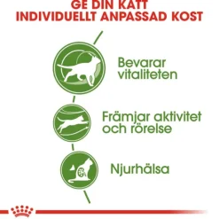 Royal Canin Outdoor 7+ Ageing Torrfoder för Katt 2 kg