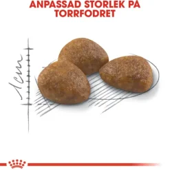 Royal Canin Outdoor 7+ Ageing Torrfoder för Katt 2 kg