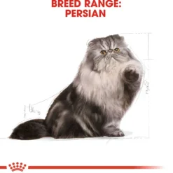 Royal Canin Persian Adult Torrfoder för Katt 4 kg