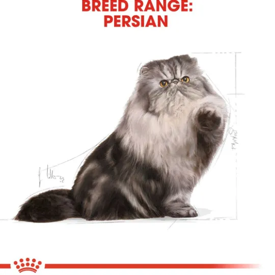Royal Canin Persian Adult Torrfoder för Katt 4 kg