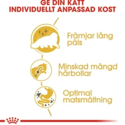 Royal Canin Persian Adult Torrfoder för Katt 4 kg