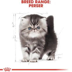 Royal Canin Persian Kitten Torrfoder för Kattunge 2 kg