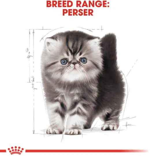 Royal Canin Persian Kitten Torrfoder för Kattunge 2 kg