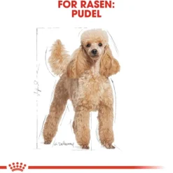 Royal Canin Poodle Adult Torrfoder för Hund 1,5 kg