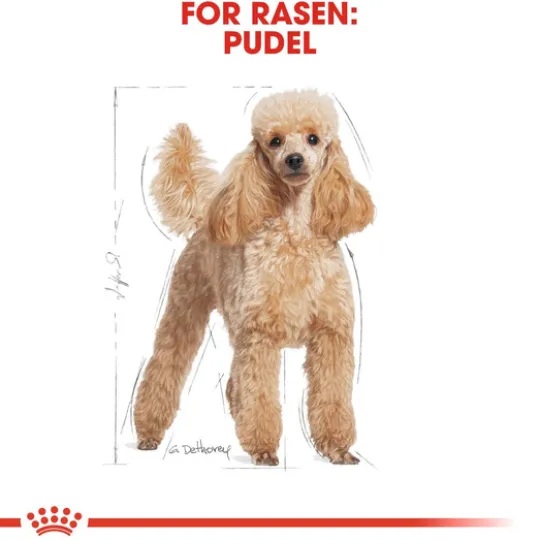 Royal Canin Poodle Adult Torrfoder för Hund 7,5 kg