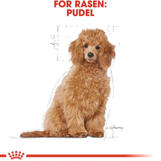 Royal Canin Poodle Puppy Torrfoder för Hundvalp 3 kg