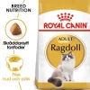 Royal Canin Ragdoll Adult Torrfoder för Katt 10 kg