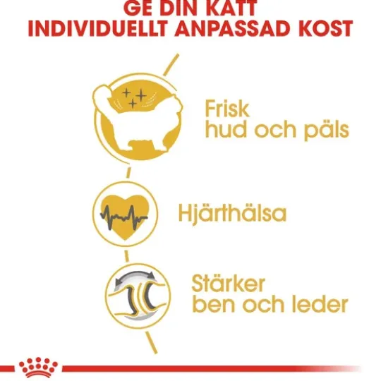 Royal Canin Ragdoll Adult Torrfoder för Katt 10 kg