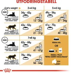 Royal Canin Ragdoll Adult Torrfoder för Katt 10 kg