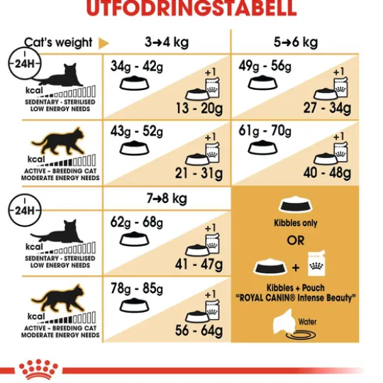 Royal Canin Ragdoll Adult Torrfoder för Katt 2 kg