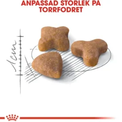 Royal Canin Sensible Adult Torrfoder för Katt 4 kg