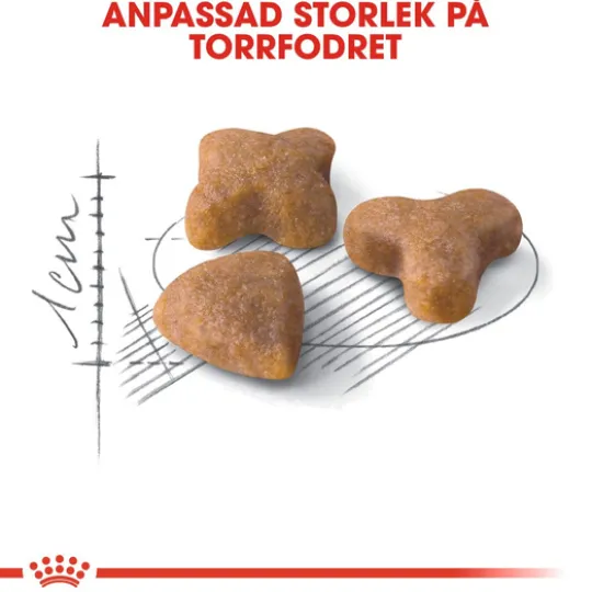 Royal Canin Sensible Adult Torrfoder för Katt 2 kg