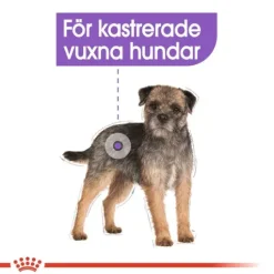 Royal Canin Sterilised Adult Loaf Våtfoder för Hund 1,02 kg