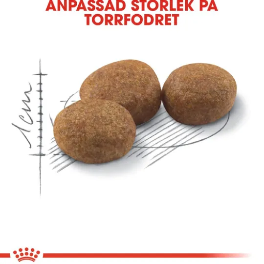 Royal Canin Sterilised Adult Torrfoder för Katt 2 kg