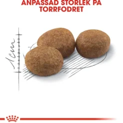 Royal Canin Sterilised Adult Torrfoder för Katt 4 kg