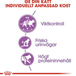 Royal Canin Sterilised Adult Torrfoder för Katt 10 kg
