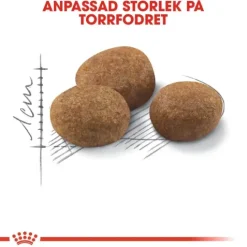 Royal Canin Sterilised 7+ Ageing Torrfoder för Katt 10 kg