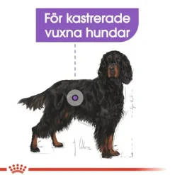 Royal Canin Sterilised Maxi Adult Torrfoder för Hund 12 kg