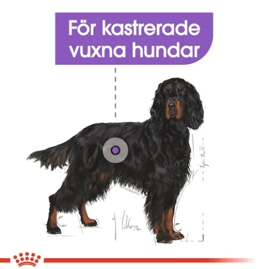 Royal Canin Sterilised Maxi Adult Torrfoder för Hund 12 kg