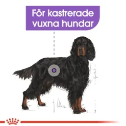 Royal Canin Sterilised Maxi Adult Torrfoder för Hund 12 kg