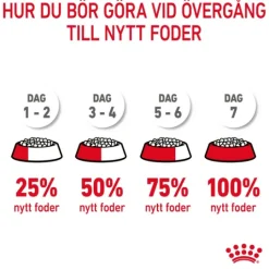 Royal Canin Urinary Care Adult Torrfoder för Katt 10 kg