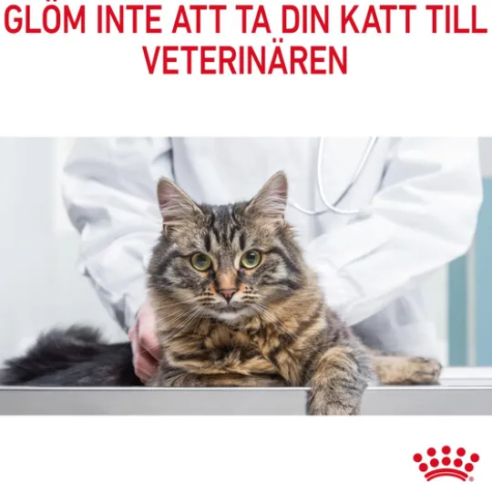 Royal Canin Urinary Care Adult Torrfoder för Katt 10 kg