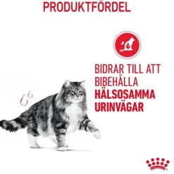 Royal Canin Urinary Care Adult Torrfoder för Katt 4 kg