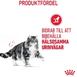 Royal Canin Urinary Care Gravy Adult Våtfoder för Katt 1,02 kg