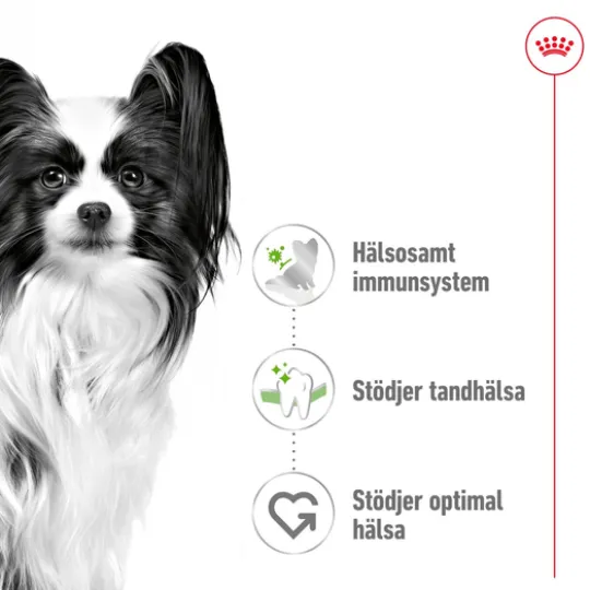 Royal Canin X-Small Adult Torrfoder för Hund 3 kg